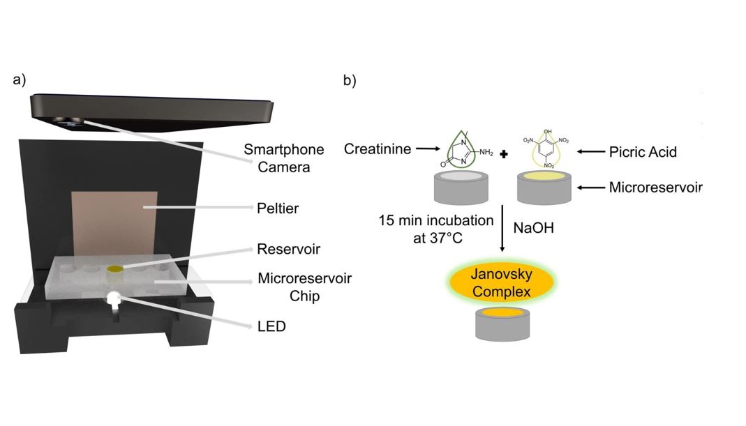 The Jaffe-based colorimetric creatinine detection (Scientific Report,2024)